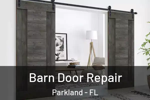  Barn Door Repair Parkland - FL