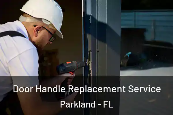 Door Handle Replacement Service Parkland - FL
