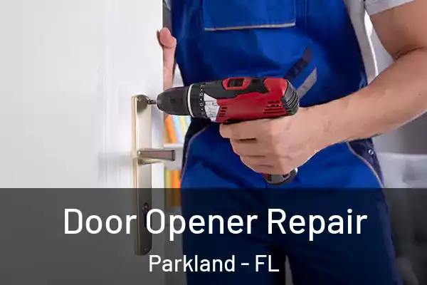  Door Opener Repair Parkland - FL