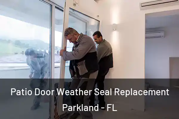  Patio Door Weather Seal Replacement Parkland - FL