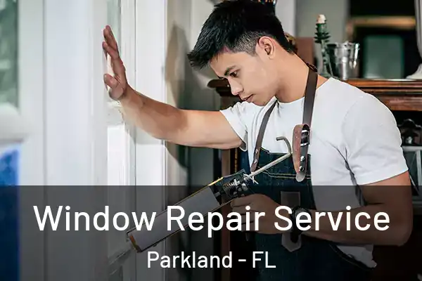 Window Repair Service Parkland - FL